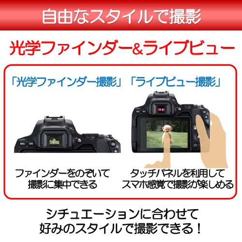 Canon（キヤノン） 一眼レフカメラ ２本レンズキット（標準ズーム＋ ...