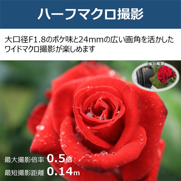 CanoniLmj pY@Lmqe}Eg RF24mm F1.8 MACRO IS STM