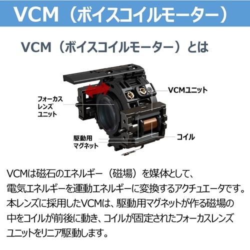 Canon（キヤノン） 交換用レンズ キヤノンRFマウント｜RF20mm