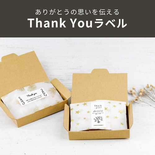 JVIvZ@ Me[v A_v^[Zbg AK-36KNWE