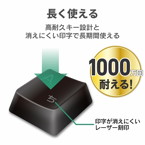 GR L[{[h^u^tTCY^}EXt^ubN TK-FDM106MBK