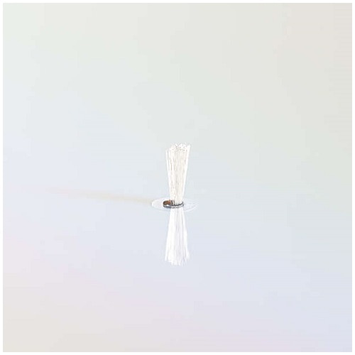 GR YN[i[a|bccuc CK-BRP1