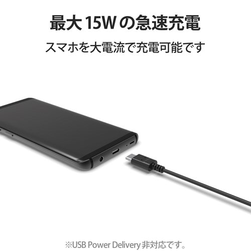 GR ɍUSB Type-CP[u MPA-ACX10BK