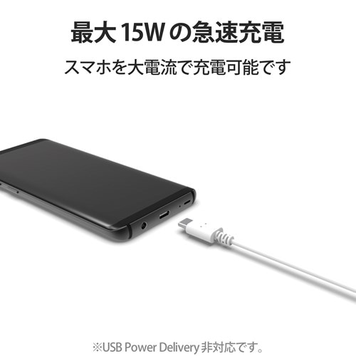 GR ɍUSB Type-CP[u MPA-ACX10WH
