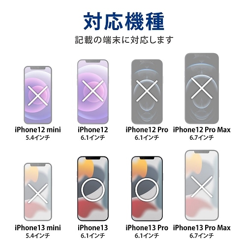 GR iPhone13 / iPhone13 ProptB PM-A21BFLFG