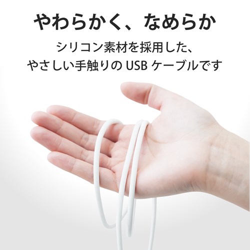 GR USB-C to USB-C [dP[u 1m MPA-CCSS10WH