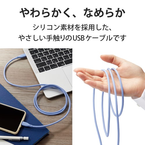 GR ^CvC P[u USB Type C to Type C 1m MPA-CCSS10BU