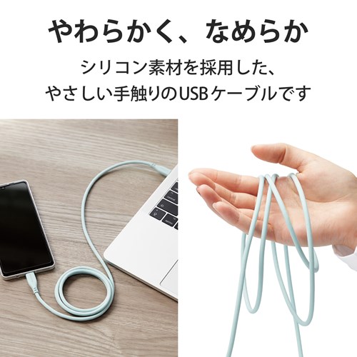 GR ^CvC P[u USB Type C to Type C 1m MPA-CCSS10GN
