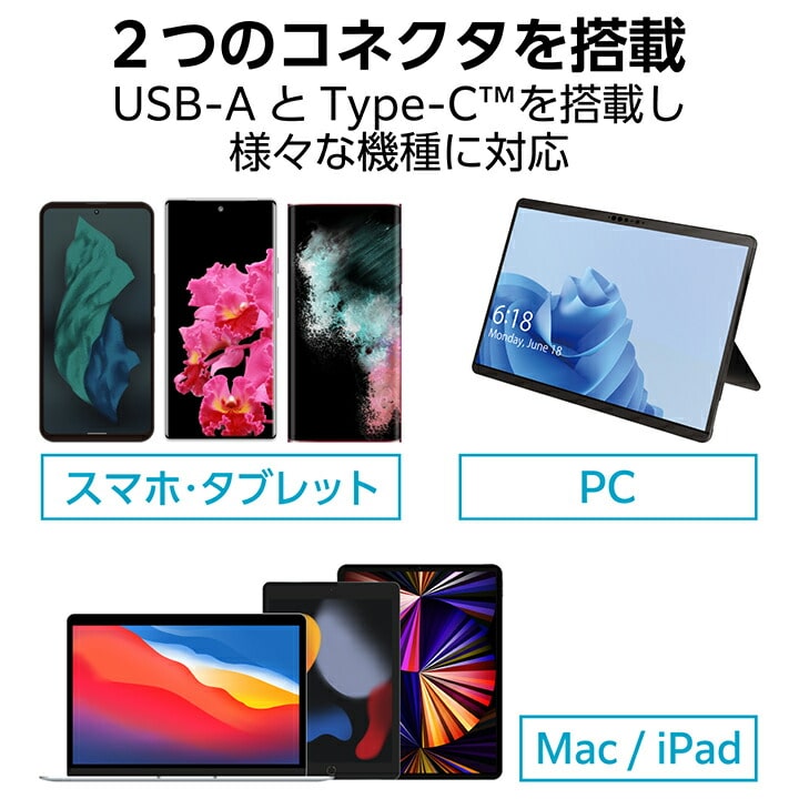 GR LbvUSB Type-C(TM) MF-CAU32256GBK