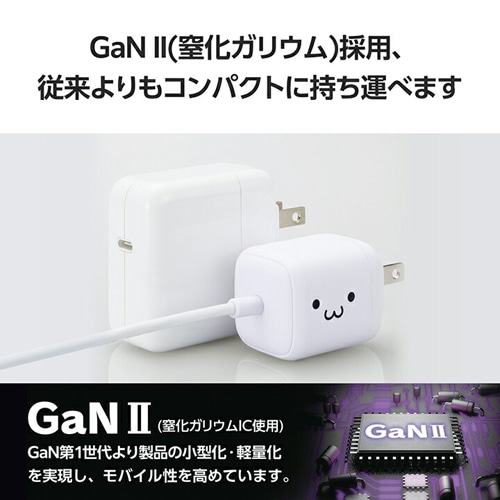 GR USB Power Delivery 30W AC[d(CP[ǔ^/1.5) MPA-ACCP7930WF