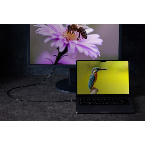 GR USB Type-C(TM) - VGAϊP[u CAC-CVGA10BK2