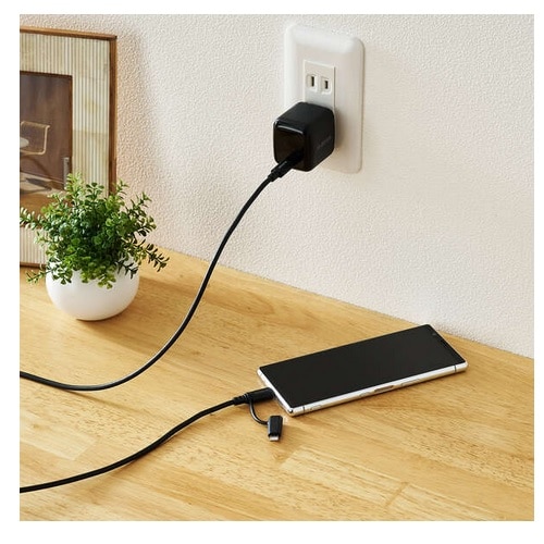 GR 2in1P[u(USB Type-C - USB Type-C/Lightningϊ/MFiF) MPA-CCLAD10BK
