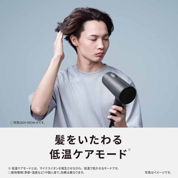 Panasonicipi\jbNj wA[hC[@CIjeB EH-NE5M-P