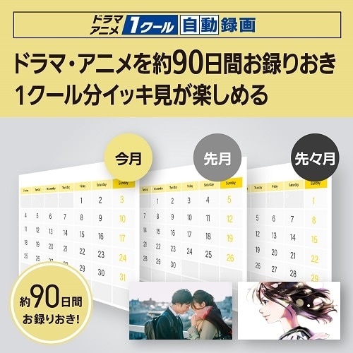 Panasonicipi\jbNj u[CR[_[ DIGA(fB[K) DMR-2W103
