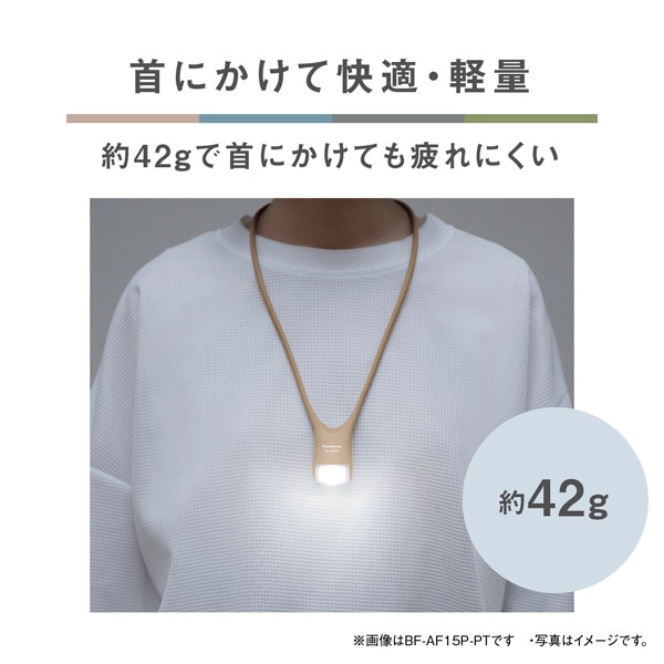 Panasonicipi\jbNj kdclbNCg BF-AF15P-HK