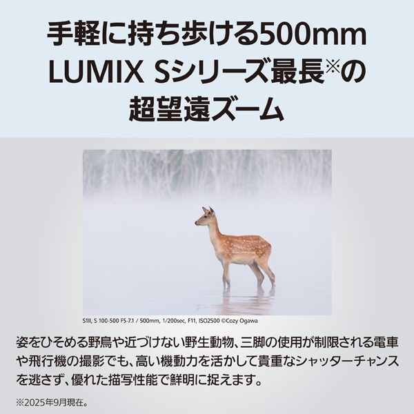 Panasonic�i�p�i�\�j�b�N�j&nbsp;�����p�����Y�@�k�}�E���g&nbsp;LUMIX S 100-500mm F5-7.1