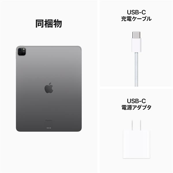 Apple（アップル） 【SIMフリー】 iPad Pro（M2）（第6世代） 12.9型 Wi-Fi + Cellularモデル ストレージ： 256GB｜MP203J/A｜[通販]ケーズデンキ