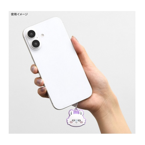 O}fB[Y USB Type-C Ή RlN^`[ CK-65A