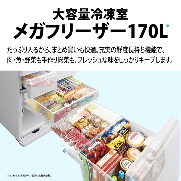 SHARP�i�V���[�v�j&nbsp;6�h�A �v���Y�}�N���X�^�[�①��&nbsp;SJ-FF50R-W