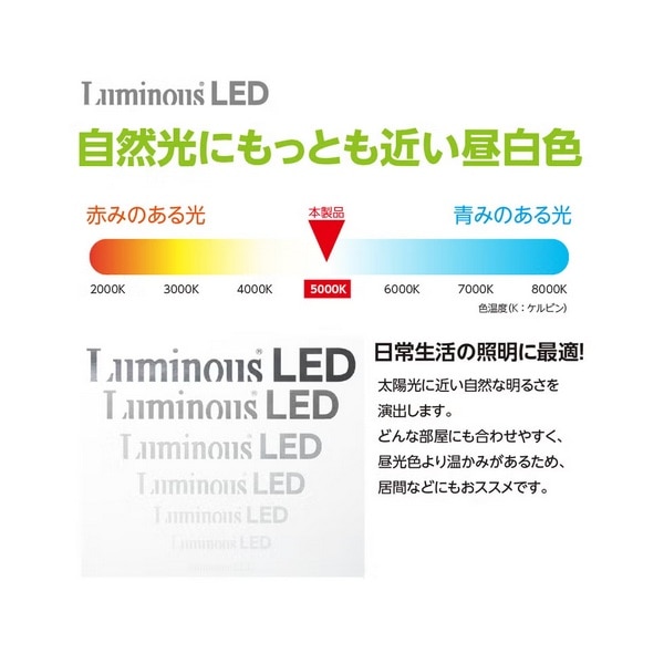 ���~�i�X&nbsp;LED���� 40�` �I�[���t���[&nbsp;G13-ZX12SN