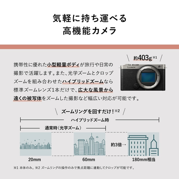 Panasonicipi\jbNj tTCY~[XJ@_uYLbg@LUMIXi~bNXj S9 DC-S9W-K