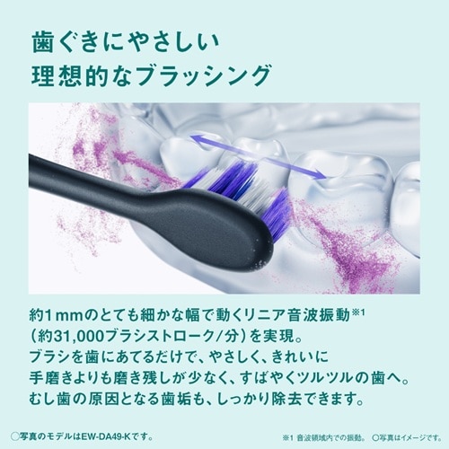 Panasonic（パナソニック） 音波振動ハブラシ ドルツ｜EW-DA19-A