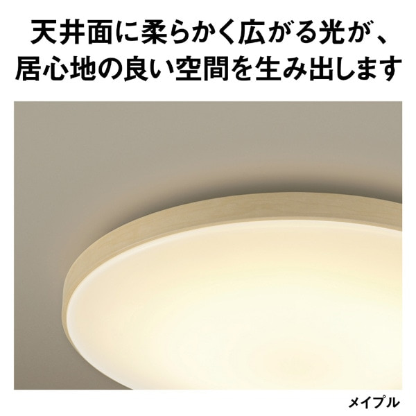 Panasonic�i�p�i�\�j�b�N�j&nbsp;�p���b�NLED�V�[�����O���C�g �J���[�t���[���V���[�Y�@�E�b�f�B�O���C��&nbsp;HH-CN0848A-M