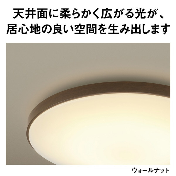 Panasonic�i�p�i�\�j�b�N�j&nbsp;�p���b�NLED�V�[�����O���C�g �J���[�t���[���V���[�Y�@�E�b�f�B�O���C��&nbsp;HH-CN0848A-T