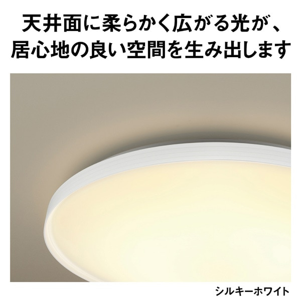 Panasonic�i�p�i�\�j�b�N�j&nbsp;�p���b�NLED�V�[�����O���C�g �J���[�t���[���V���[�Y�@�A�[�X�J���[&nbsp;HH-CN1247A-W