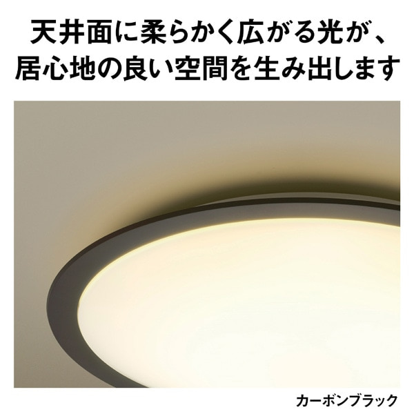 Panasonic�i�p�i�\�j�b�N�j&nbsp;�p���b�NLED�V�[�����O���C�g �J���[�t���[���V���[�Y�@�X�^�C���b�V��&nbsp;HH-CN1249A-K