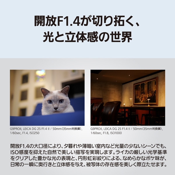 Panasonic�i�p�i�\�j�b�N�j&nbsp;�����p�����Y�@�}�C�N���t�H�[�T�[�Y&nbsp;H-XA025A