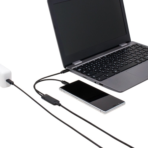 AinexiAClbNXj USB-Cҏ[dP[u PD100WΉ 1.2m UYC-CC12P10