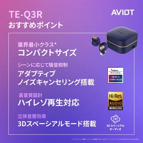 AVIOT�i�A�r�I�b�g�j&nbsp;���S���C�����X�C���z��&nbsp;TE-Q3R-BL