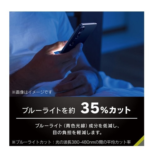 gjeB Xperia 1 VI FȂu[Cgጸ ʕی십KX TR-XP243-GL-B3CC