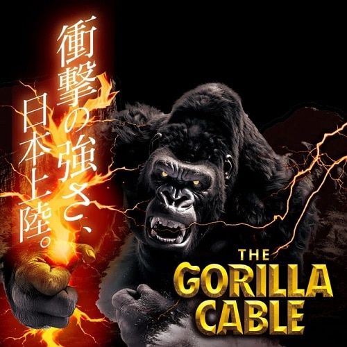 gjeB GorillaP[u C to C 60W 1.5m TR-CACC15-GOSG
