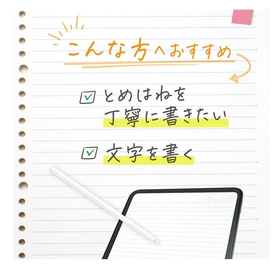 �g���j�e�B&nbsp;iPad�iA16 / ��10����j�Ή� ��ʕی�t�B����&nbsp;TR-IPD26-PFI-PLAGF