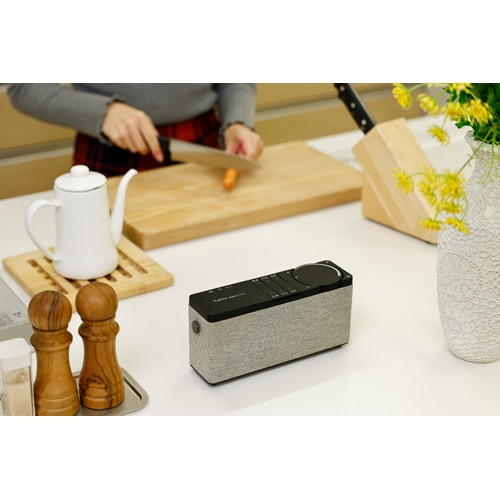 �~���C�X�s�[�J�[&nbsp;�L�����[�E�o�C�E�~���C�X�s�[�J�[&nbsp;SF-MIRAIS9