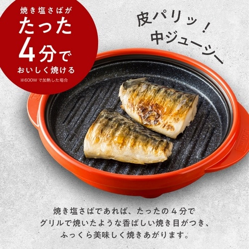 �l�t�j&nbsp;�d�q�����W��p�������iRANGEMATE PRO�@�����W���[�g �v���j&nbsp;RMP-10-KCP