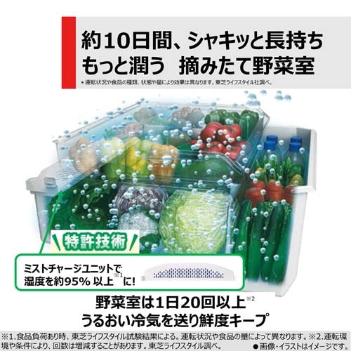 TENBA 美品 H560xW580xD220mm クッション付きケース クッション