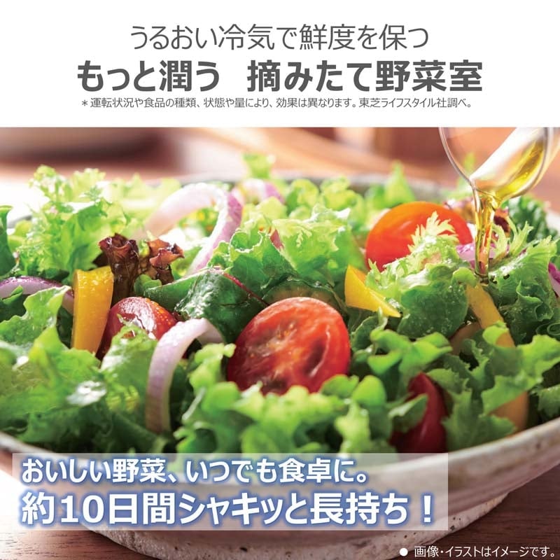 ŁiTOSHIBAj 5hA①Ɂ@VEGETAixW[^j@GTV[Y GR-Y500GT(TH)