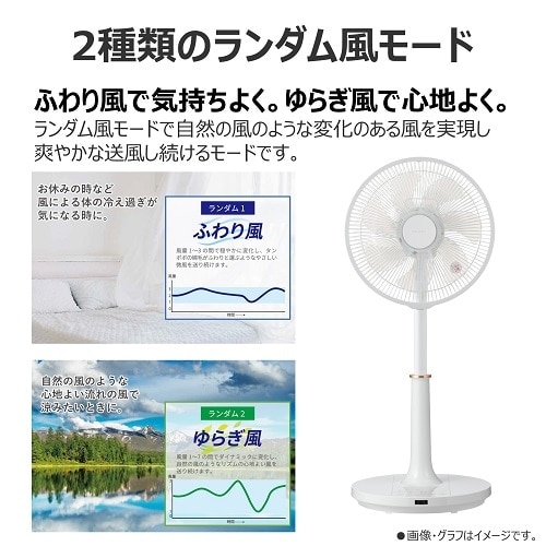 東芝、羽根径30cmを採用したリビング扇風機2機種と壁掛け扇風機2