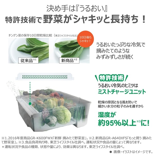 ���ŁiTOSHIBA�j&nbsp;6�h�A�①�Ɂ@VEGETA�i�x�W�[�^�j�@XFS�V���[�Y&nbsp;GR-A640XFS(TH)