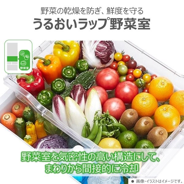 ŁiTOSHIBAj 5hA①Ɂ@GXK^Cv GR-Y41GXK(EW)