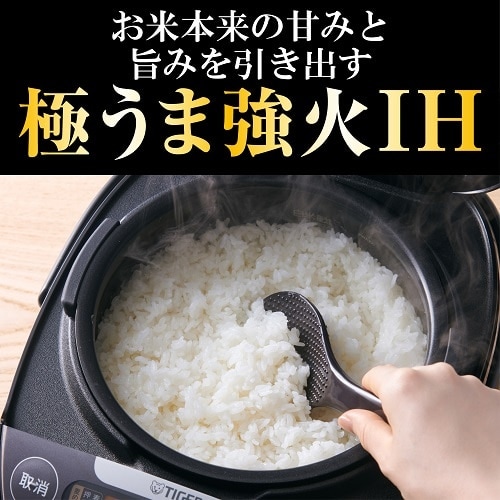 ^CK[@r IHW[ъ큃ā JPW-Y100 WY