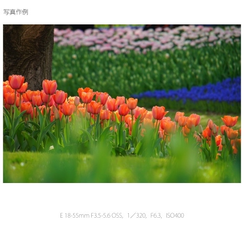SONYi\j[j pY@\j[d}Eg SELP18200