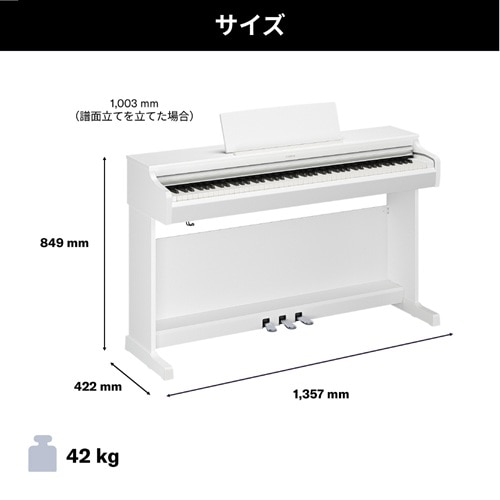 ���}�n&nbsp;�d�q�s�A�m�@ARIUS�i�A���E�X�j&nbsp;YDP-166WH