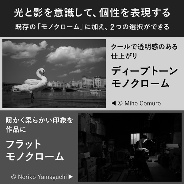 Nikon�i�j�R���j&nbsp;�t���T�C�Y�~���[���X�J�����@Z f&nbsp;Z f�@�{�f�B�̂�