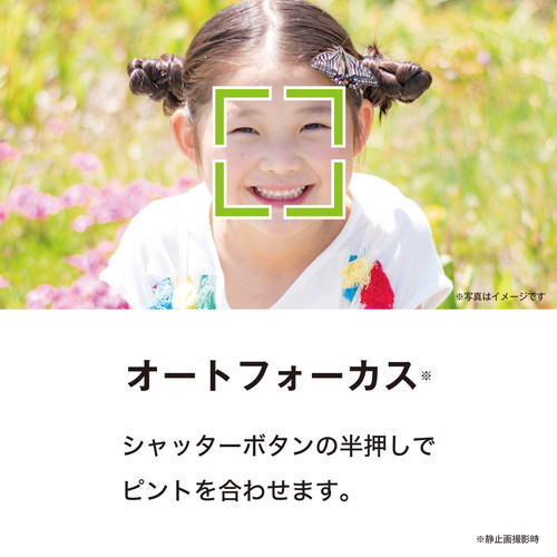 KenkoiPR[j fW^J KC-AF11 WH