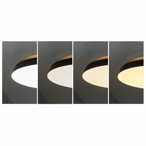 �X�����d��&nbsp;LED�V�[�����O���C�g�@TAIRA&nbsp;ACE-175BK