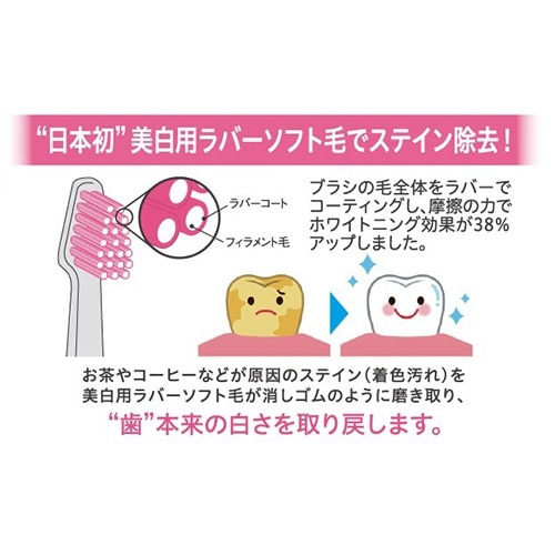 ACIjbN o[փuVi炩߁jACIjbNr[eB A-11